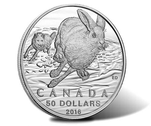 Canadian-2016-50-Hare-Silver-Coin