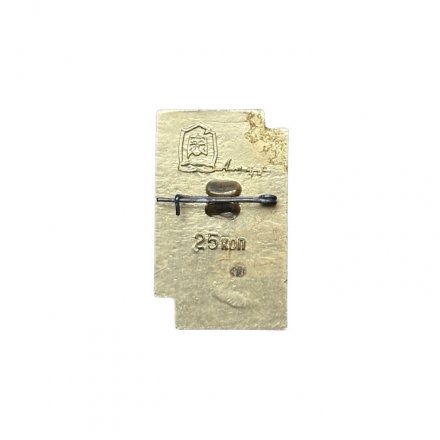 Значок Дальний восток. Карта