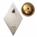 Знак «За окончание ВУЗа», ДНР