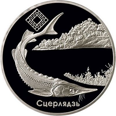 Беларусь 20 рублей 2007 год - Стерлядь. Заповедники Беларуси - Днепро-Сожский заказник