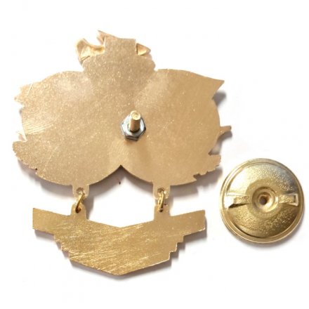 Знак За переход экватора. Тяжелый авианесущий крейсер &quot;Киев&quot;