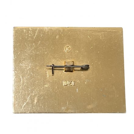 Значок. Промысловые суда. Мурманск  