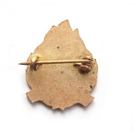 Значок Чехословакия. Vedouci. Пионервожатый