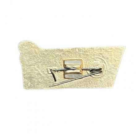 Значок Школа 2 класс. Факел и звезда