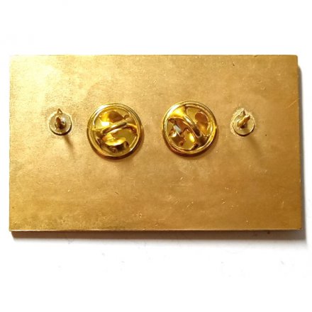 Знак Дежурный водолаз, тяжелый