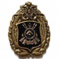 Знак Герб 31 дивизия РПКСН (ракетных подводных кораблей стратегического назначения )