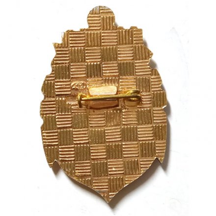 Знак 70 лет ЭПРОН-ПСС (Поисково-спасательная служба), ЛМД