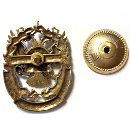 Знак Участник антарктической экспедиции
