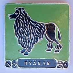Значок. Серия собаки. Пудель (зеленый фон)