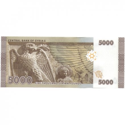 Сирия 5000 фунтов 2019 год - Солдат UNC