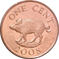 Бермудские острова 1 цент 2008 год - Кабан (магнетик)