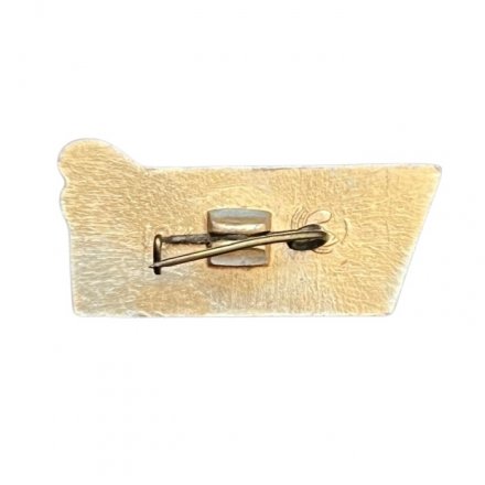 Значок Школа 3 класс. Факел и пионерский галстук