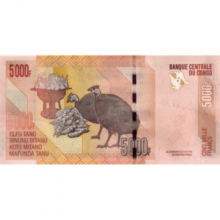 Конго 5000 франков 2022 год - Зебры. Две цесарки и плоды маниоки - UNC