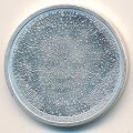Нидерланды 5 евро 2008 год - Нидерландская архитектура