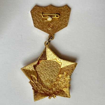 Значок. 30 лет победы. Участнику Великой Отечественной Войны