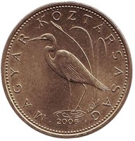 Монета Венгрия 5 форинтов 2006 год - Большая белая цапля