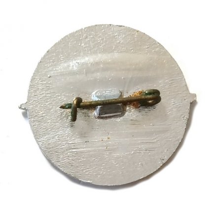 Значок АН СССР. Академик Николай Пилюгин