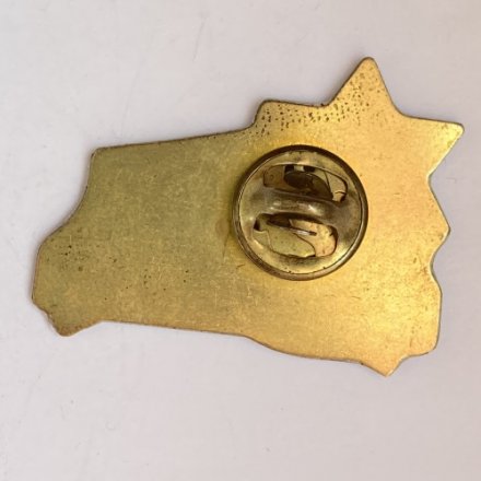 Значок. Еврейское агентство в России. Ростовский филиал