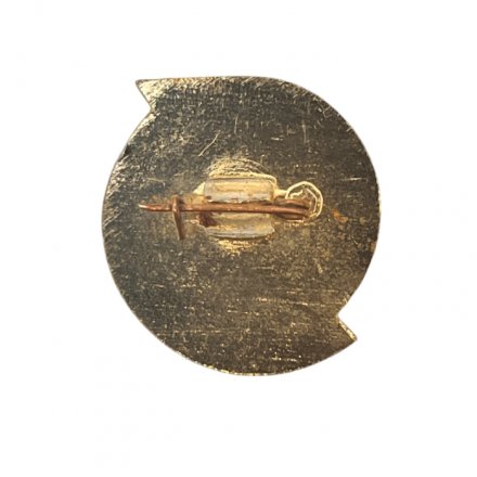 Значок. II Международные летние студенческие курсы. СССР. 1966. ВЛКСМ