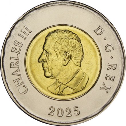 Канада 2 доллара 2025 - Чествование неизвестного солдата Канады