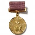 Медаль СССР ВДНХ (Выставка достижений народного хозяйства). За успехи в народном хозяйстве, булавка