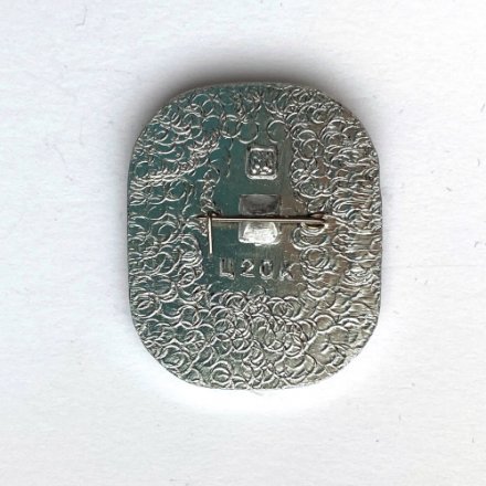 Значок. Чемпионы мира и Европы. Советские хоккеисты. Берн Женева 1971