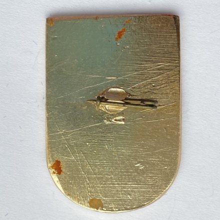 Значок. ГДО ИФК им.П.Ф.Лесгафта 75 лет. 1896-1971