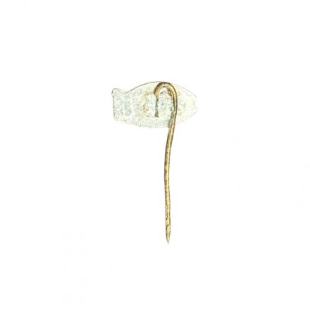 Значок-иголка Литва. Жувинтас. Žuvintas. Заповедник