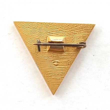 Знак &quot;ССО Ленинград 1984&quot; СССР
