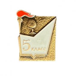Значок Школа 5 класс. Факел и глобус