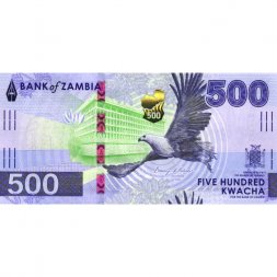 Замбия 500 квача 2024 (2025) год - Здание штаб-квартиры Банка Замбии в Лусаке. Буйволы UNC
