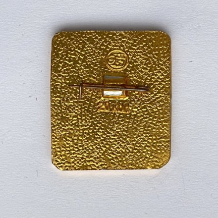 Значок. Советские хоккеисты чемпионы мира и Европы. Москва 1973