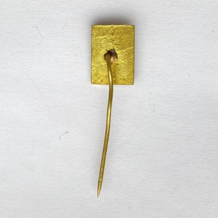 Значок. БФБ Борьба (игла)