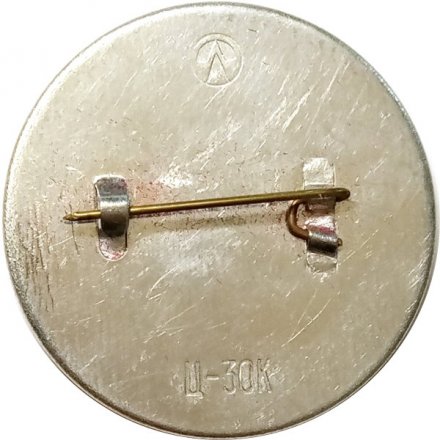 Значок Нижний парк Петродворца. Эрмитаж. 1725-1975