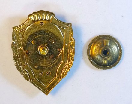 Знак отличник ВВС. Россия.