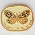 Значок. Бабочка Медведица сельская 
