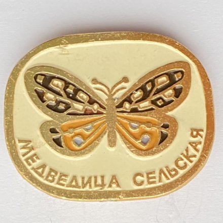 Значок. Бабочка Медведица сельская 
