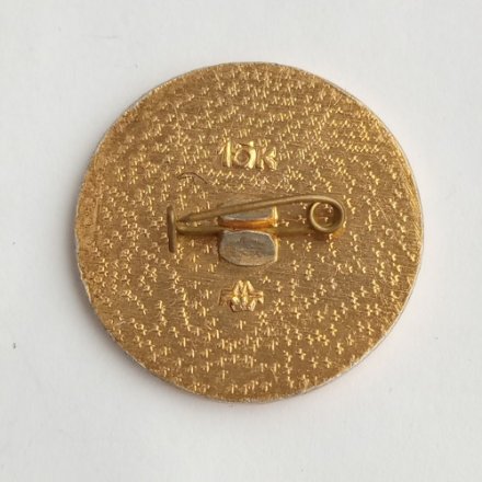 Значок &quot;Юный авиамоделист&quot;