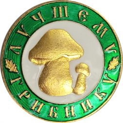 Значок Лучшему грибнику