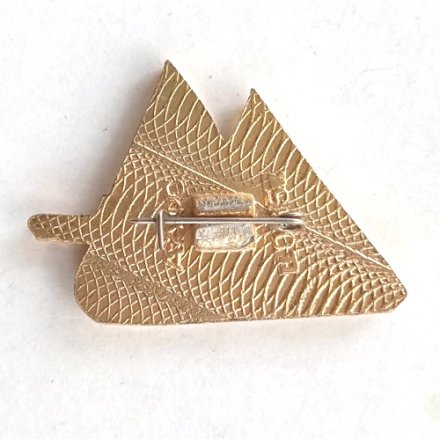 Значок Спортивный комплекс Медео Казахстан. Коньки