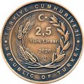 Турция 2,5 лиры 2020 год - 100 лет Агентству &quot;Анадолу&quot;