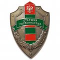 Знак &quot;Старший пограннаряда&quot;