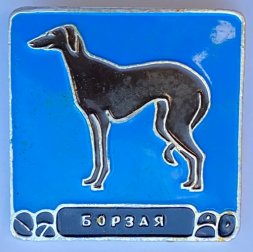 Значок. Серия собаки. Борзая