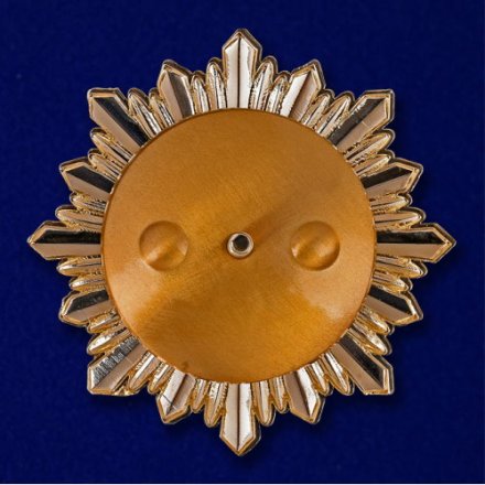 Знак &quot;100 лет ВЧК-КГБ-ФСБ&quot; I степени (копия)