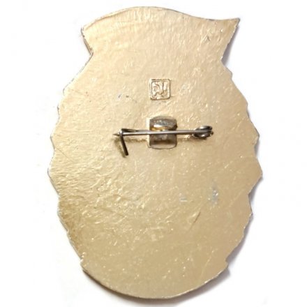 Значок ММФ Выпускник. 200 лет Архангельскому мореходному училищу