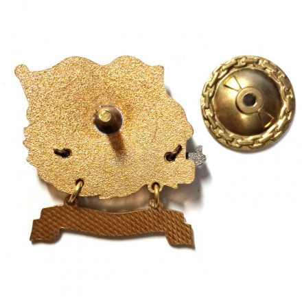 Знак Морские силы ПВ. ПСКР &quot;Карелия&quot;