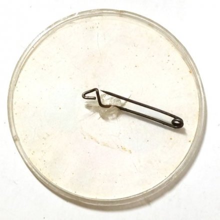 Значок X Всемирный фестиваль молодежи и студентов. Берлин. 1973