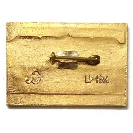 Значок Петродворец (тип 1)