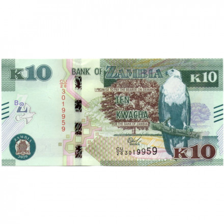Замбия 10 квача 2020 год - Дикобраз UNC
