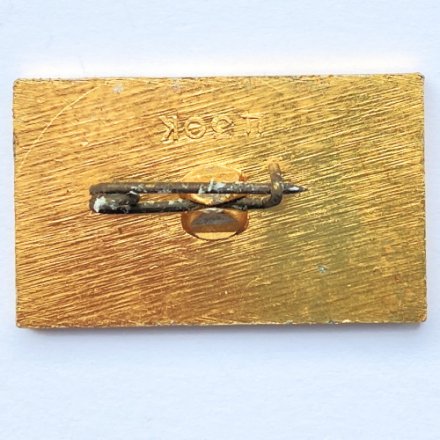 Значок. Виды спорта. Олимпиада 80. Конный спорт